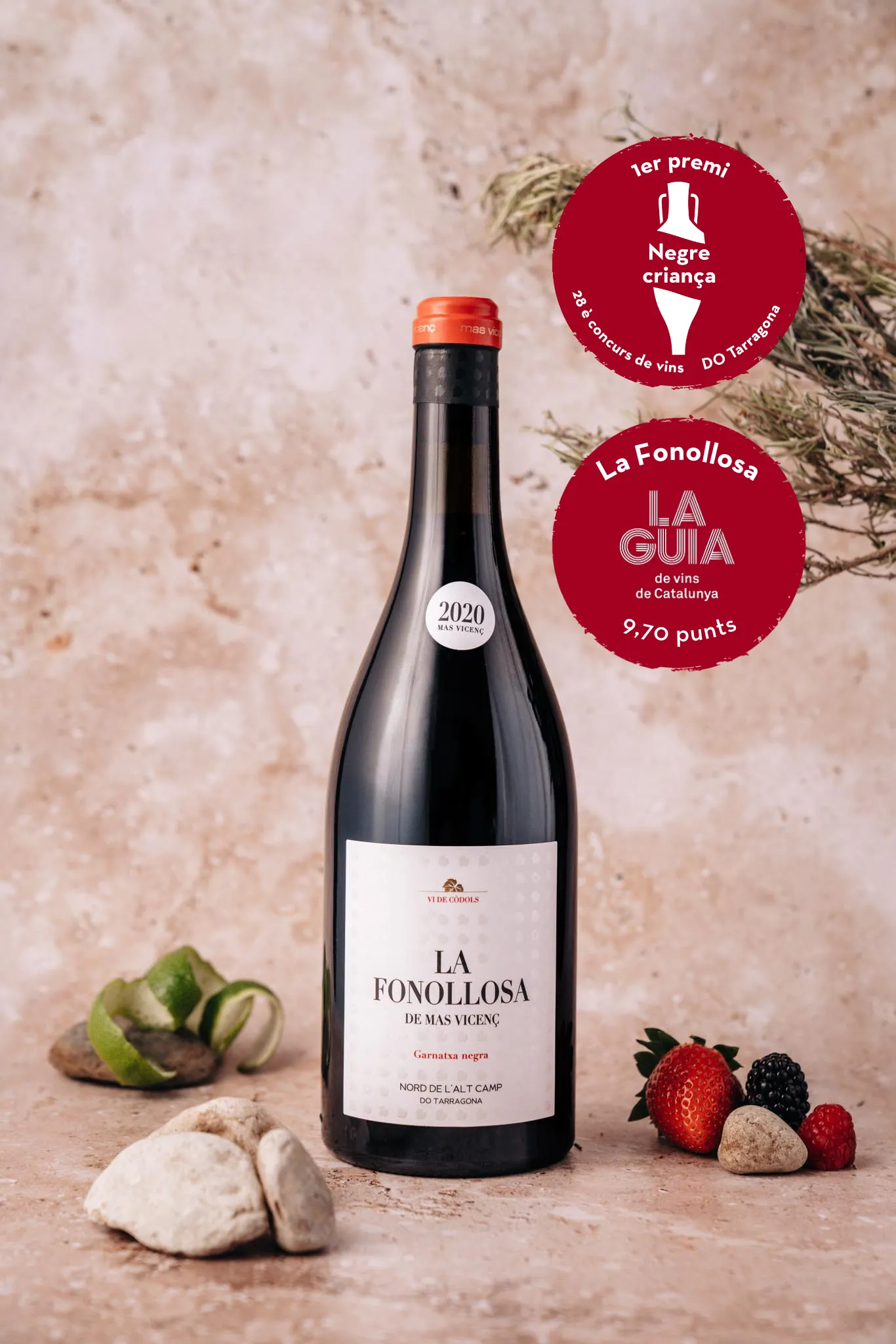 LA FONOLLOSA. VINO DE CANTO RODADO. - Imagen 2